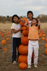 2007-10-18_Denver Maze Pumpkin Patch & Halloween