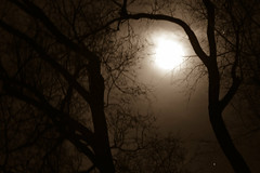 Night sky/Moon