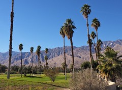 Palm Springs/Rancho Mirage/Palm Desert, California 2018