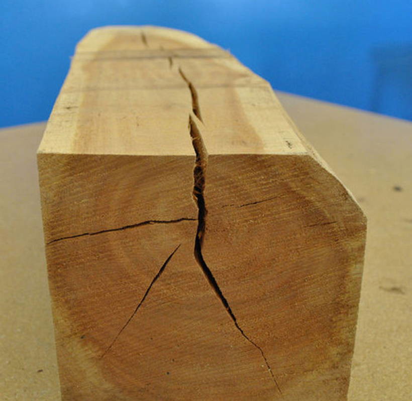 Сушка древесины: Без сучка и задоринки