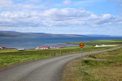 from Blönduós to Hraunsnef Country Hotel, Þjóðvegur - Iceland (June 2017)