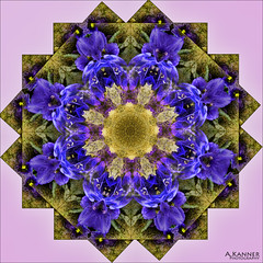 Mandalas/Kaleidoscope