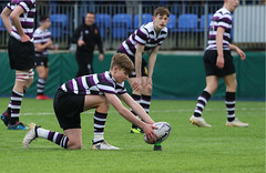 Leinster Schools Rugby