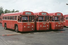 London Transport/London Buses