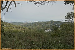 En el Parque natural Montes de Málaga.