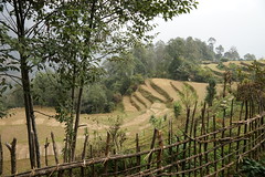 Paysage du Népal / Landscape of Nepal.