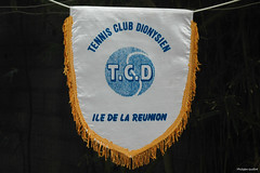 TCD 2004-2019