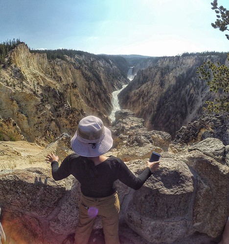 year in review crystal neri yellowstone