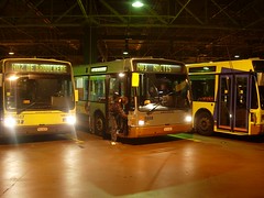STIB-Bus-N02
