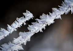 Snow, ice and frost crystals