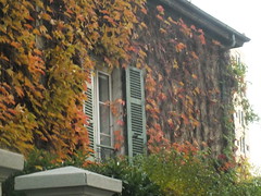 Autumn in Lyon