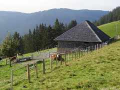 Alpine pasture - Chalets d'alpage : 26 to 50