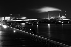 Copenhagen in Black and White - 2018