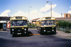 Green Bus, Great Wyrley