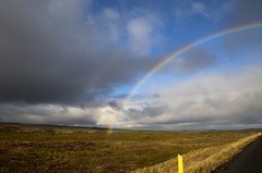 On the road in Myvatn area - Northeast Iceland (24/06/2017)