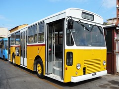 CTT Nord - ATL Livorno buses