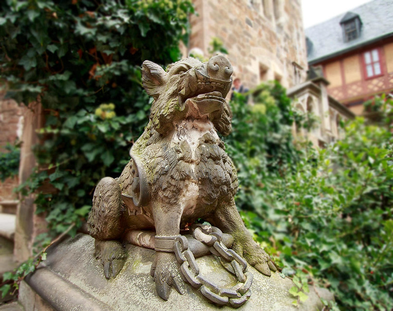 Wild boar in Wernigerode Castle courtyard. Credit Mundus Gregorius, flickr