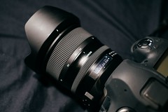 [Nikon] Tamron SP 24-70mm F2.8 Di VC USD G2