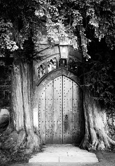 Hobbit Door