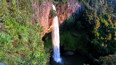 Bridal Veil Falls (Waikato)