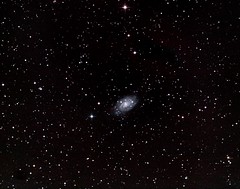 NGC 2403 galaxy