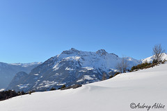 French Alps / Les Alpes sous la neige