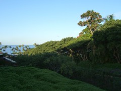 2006-01: USA - Hawaii - Maui - Wailea Elua Village