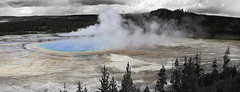 2014 - Yellowstone