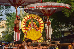2018 Rathasapthami Celebrations