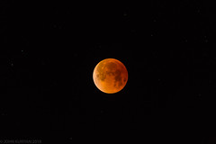 Total Eclipse of the Moon - January 2018