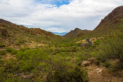 Tucson - Gates Pass