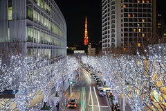 2017-12-27~12-29 東京快閃聖誕燈飾
