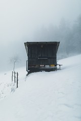 winter | snow | frost