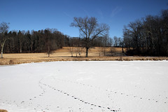 winter farmland at 2018