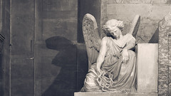 Angels in Paris