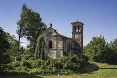 Chiesa dell'edera bianca