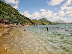 St Kitts and Caribbean