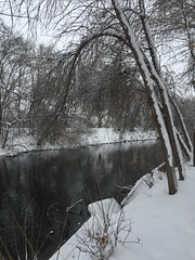 February 23, 2018 (Provo River Parkway, etc)