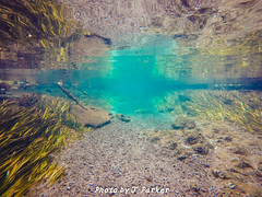 GoPro/Underwater