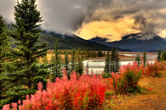 Canadian Rockies in Fall