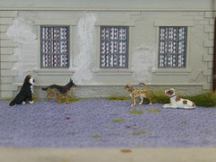 Dogs 1/87 (H0)