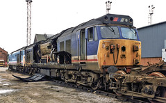 Condemned Class 50's 