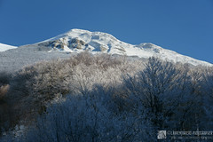 Monte Acuto in invernale per il sentiero Flo' (gruppo del monte Catria)