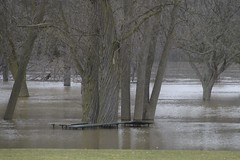 Riverside Park Flooding Saturday 