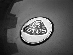 Collection - Lotus