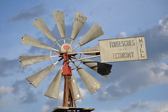 Fortescues' windmills