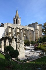 Avignon (84)