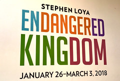 Endangered Kingdom opening reception at the Joan Hisaoka Healing Arts Gallery, Washington, DC, 1/26/2018