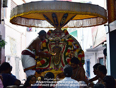 2018 - Vanabojanam - Kapaleeswarar Temple