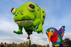 2018 Canberra Balloon Festival